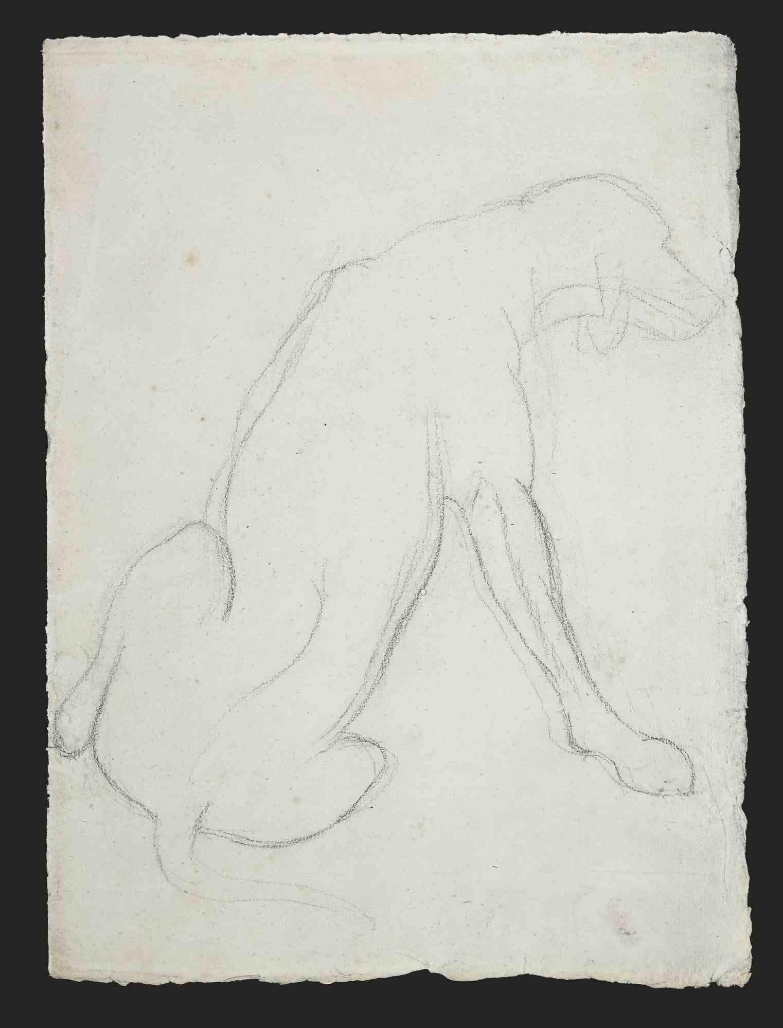 Unknown Animal Art - Dog - Original Drawing -  Mid-20th Century