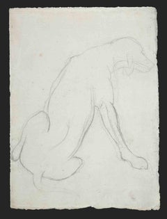 Dog - Original Drawing -  Mid-20th Century