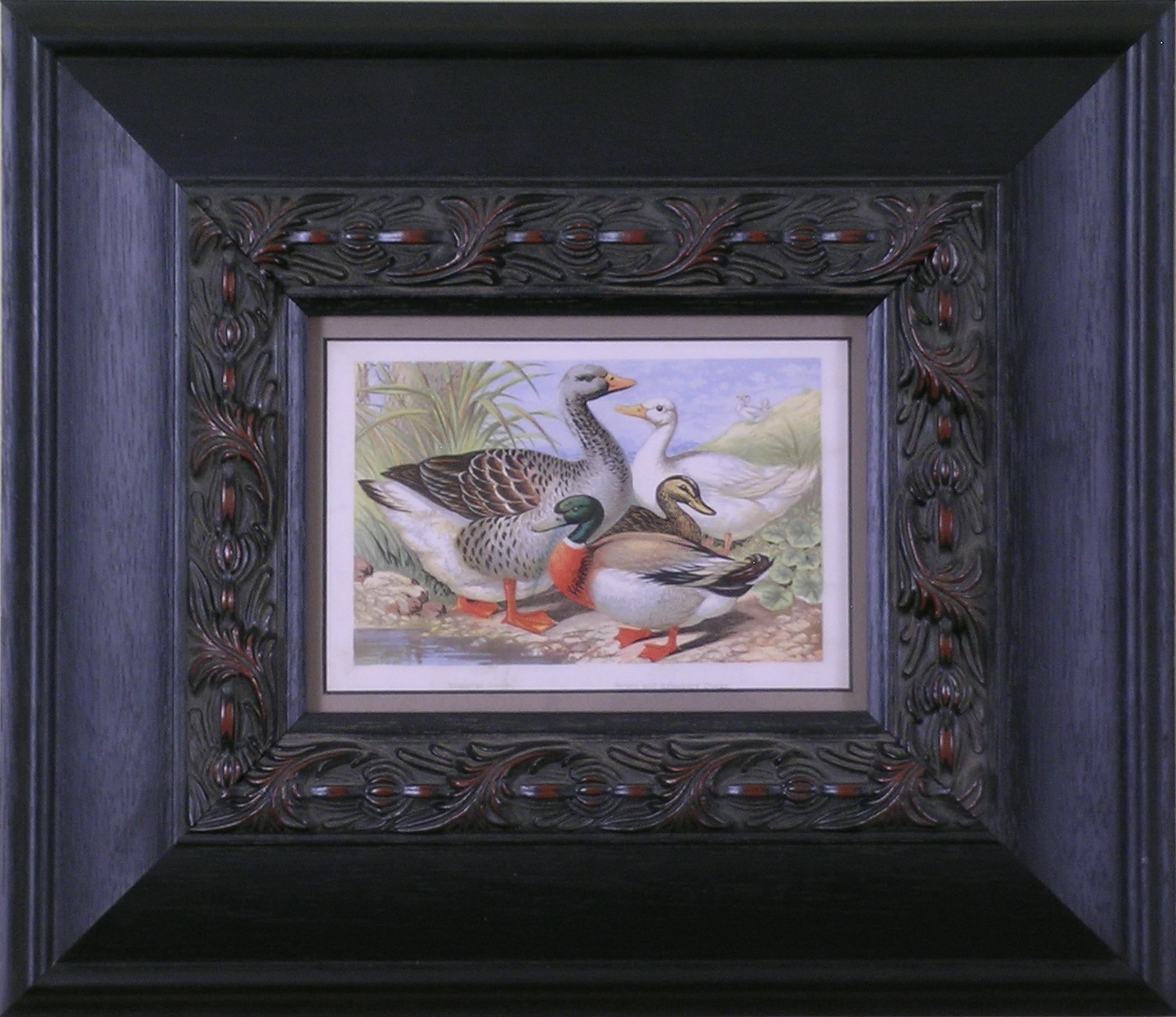 Hugh Piper Animal Print - Geese & Ducks