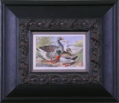 Antique Geese & Ducks