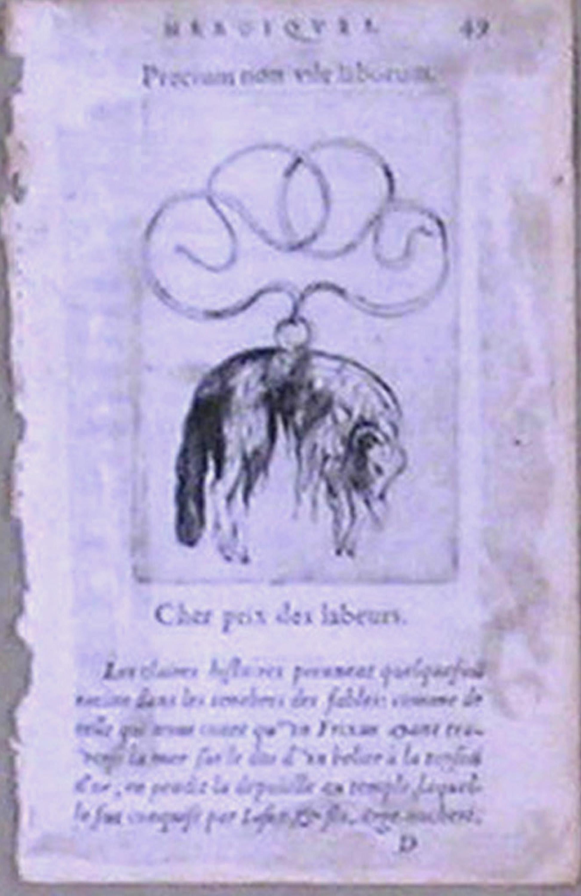 claude paradin