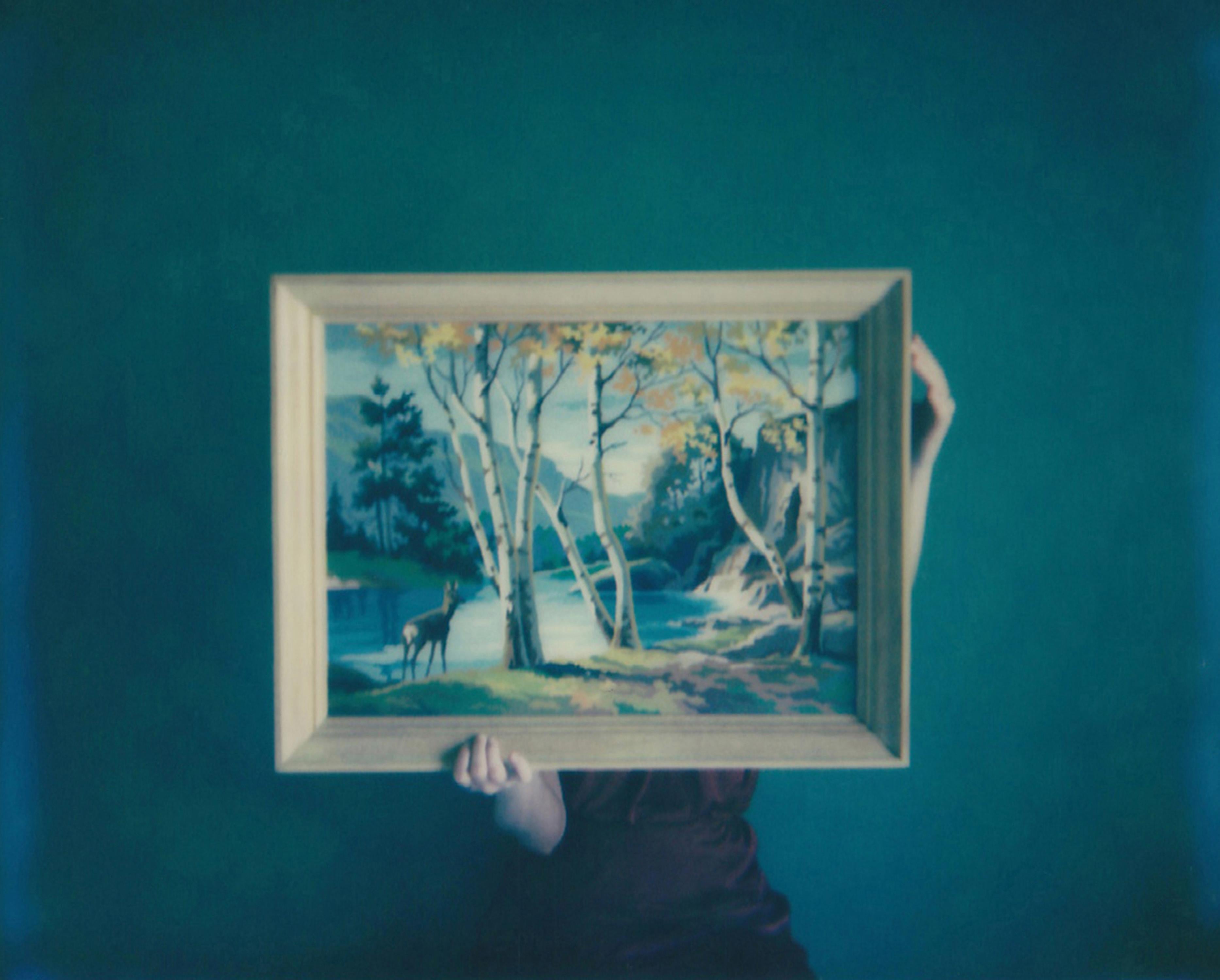Lisa Toboz Color Photograph - Into the Woods - Contemporary, Woman, Polaroid, Painting, Interior, Landscape