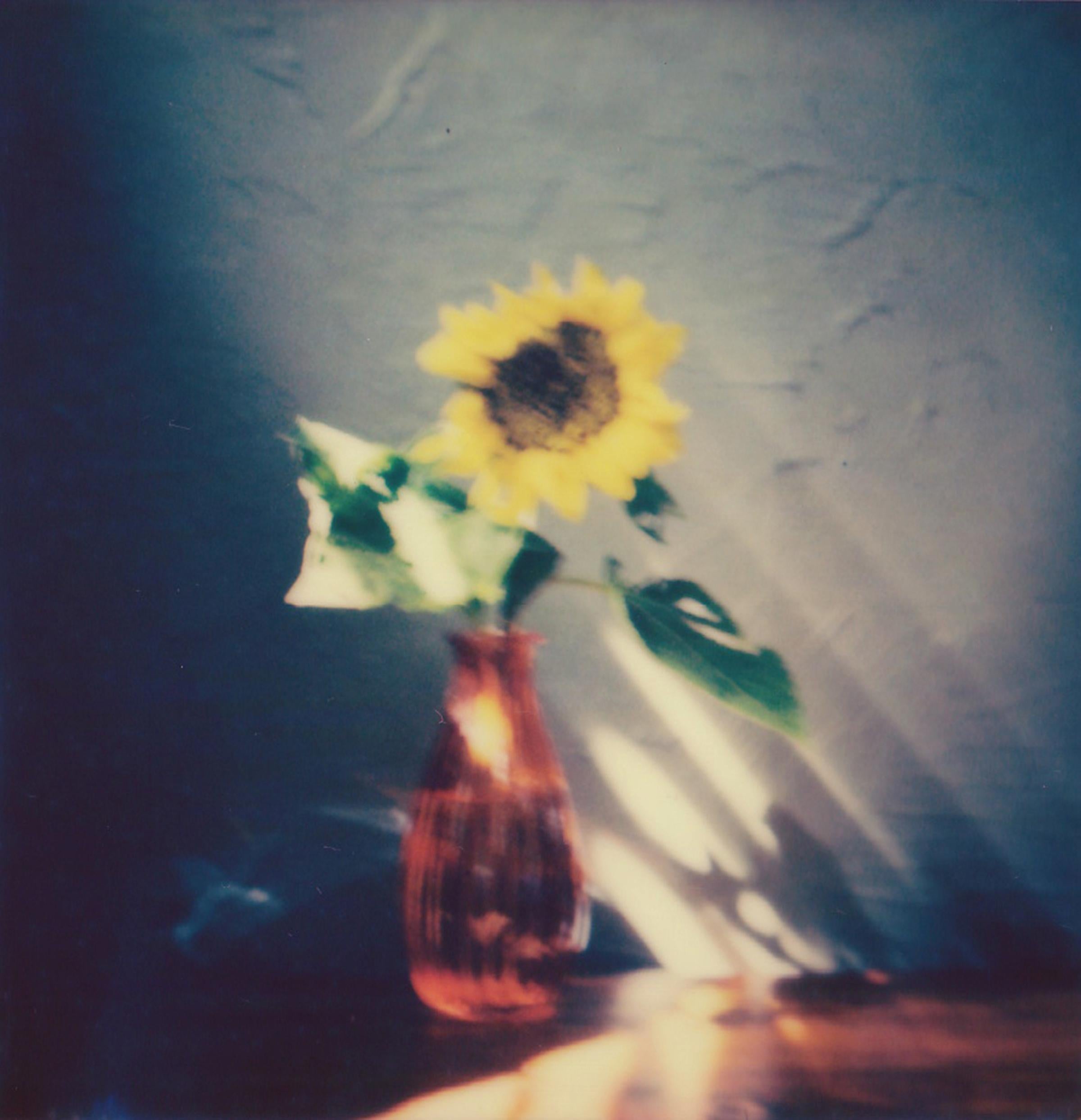 Lisa Toboz Color Photograph - Late Afternoon - Contemporary, Polaroid, Photography, Landscape, Color, 21st