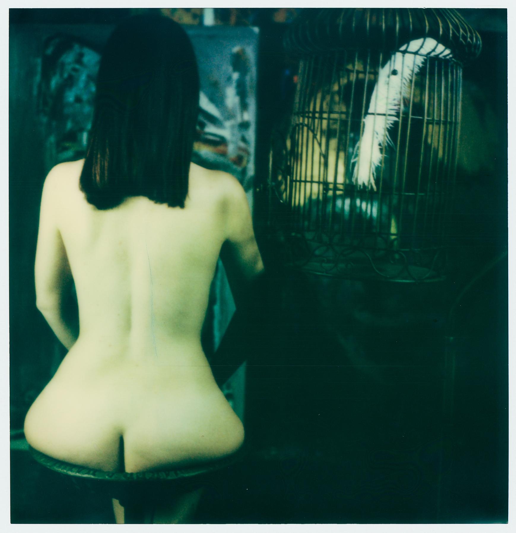 Ariel Shelleg Nude Photograph – Low Gain Series – 21. Jahrhundert, Zeitgenössisch, Polaroid, Nude