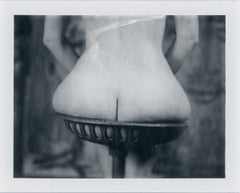 Foresight - Contemporary, Polaroid, 21 Century, Nude