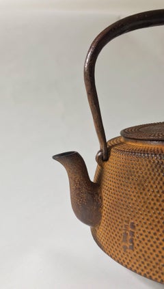Japanese cast iron kettle