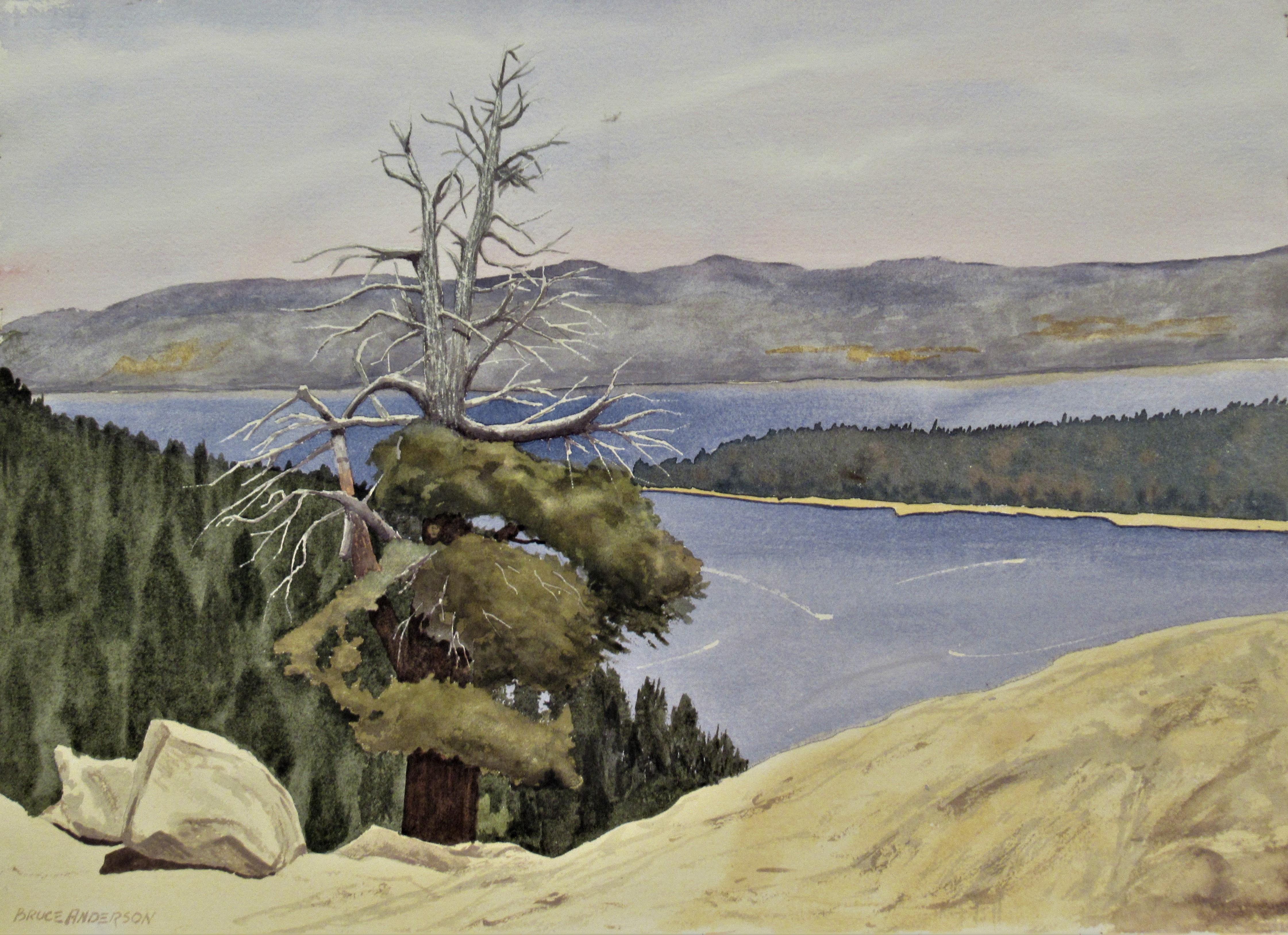 Bruce Roy Anderson Figurative Art - Landscape