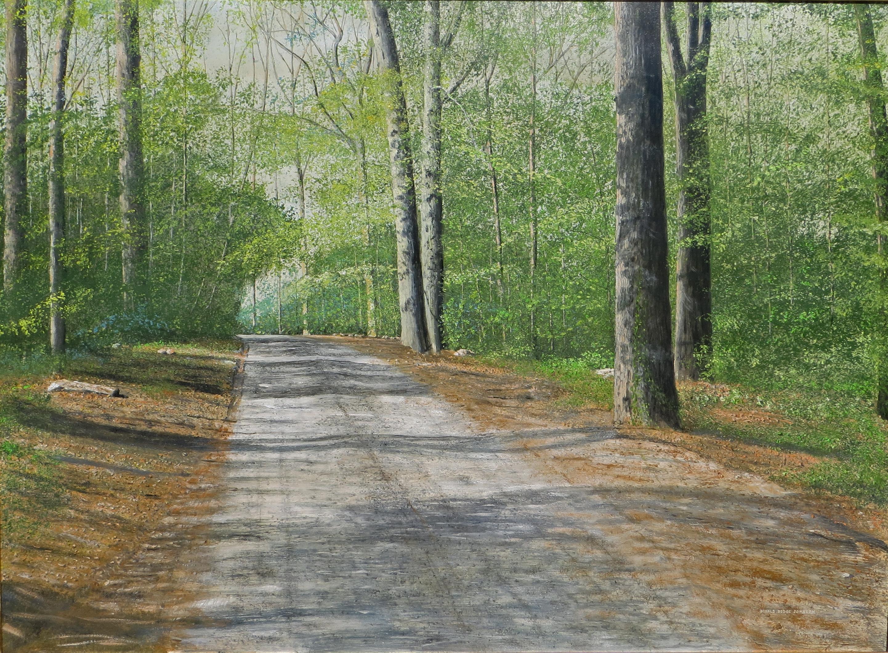Donald Dodge Johnson Landscape Painting - Sunlight in the Woods