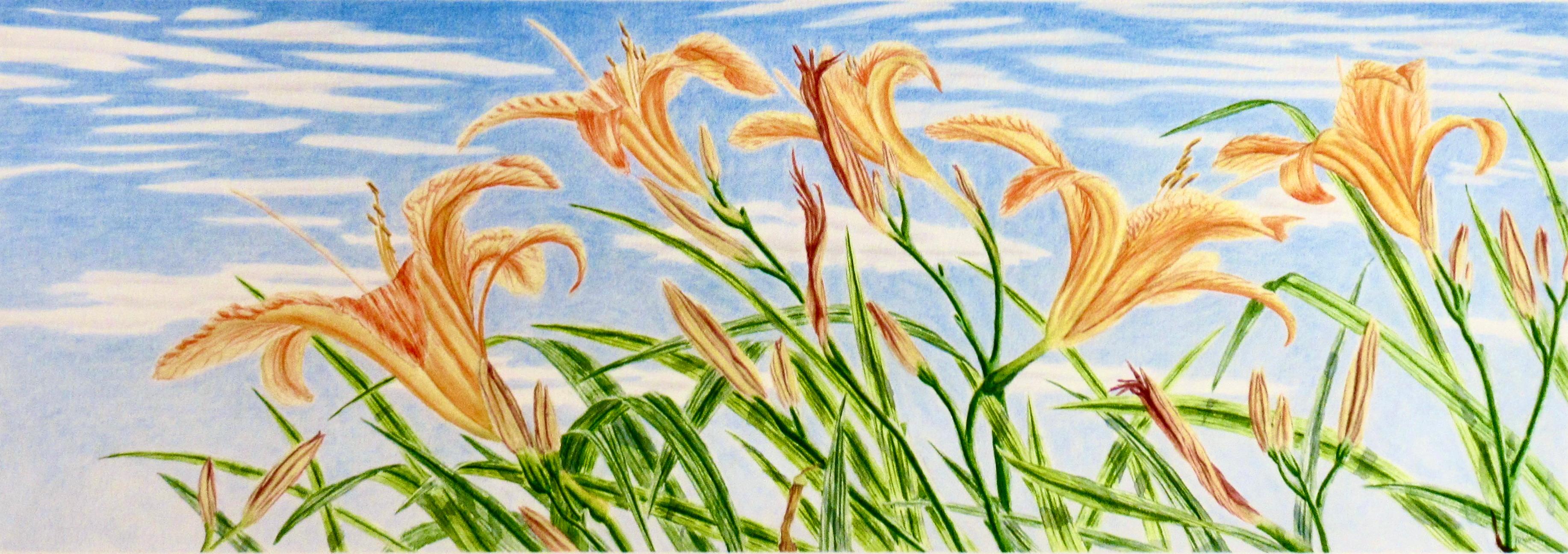 Lily - Art by Suezan Aikins
