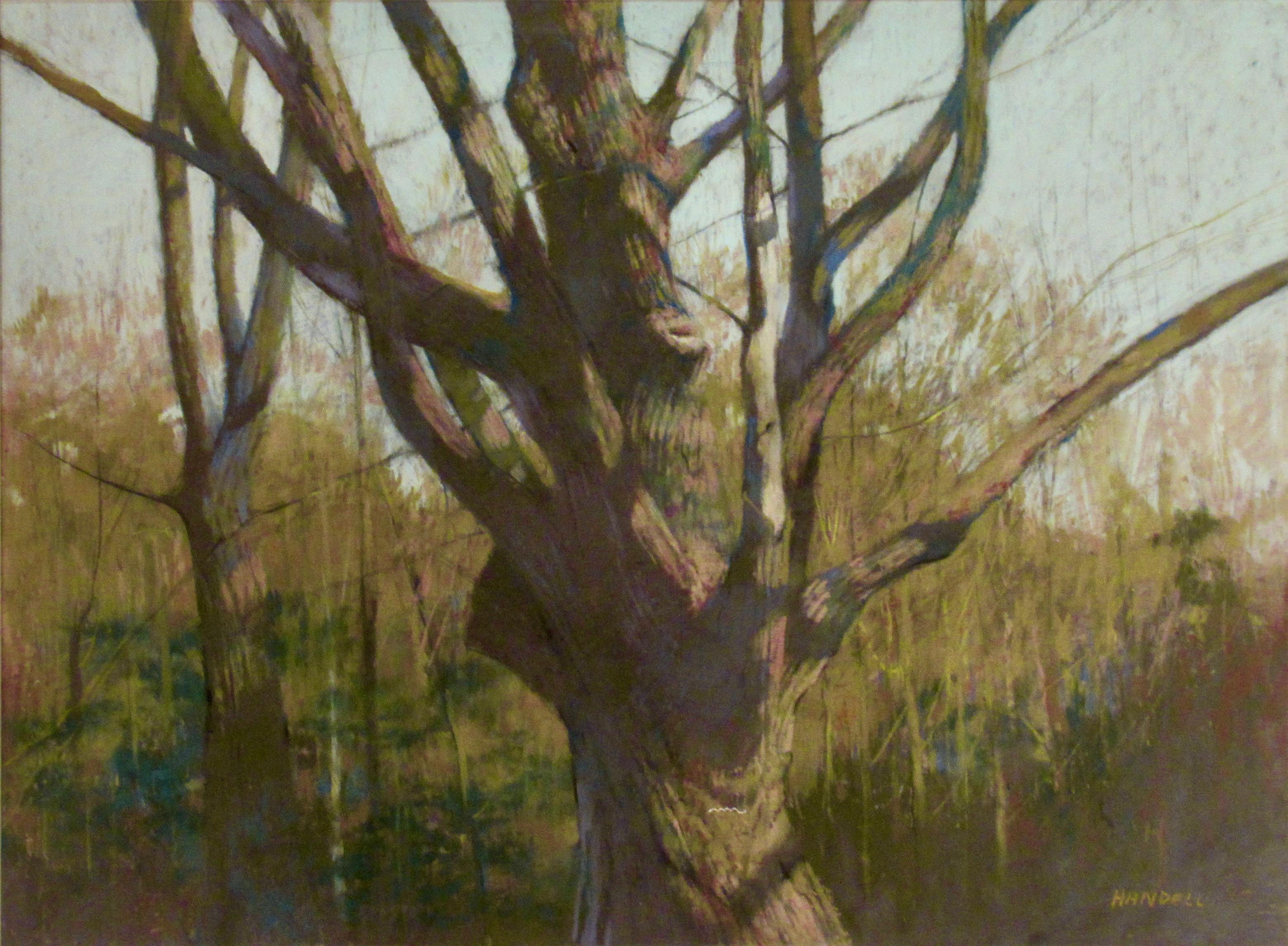 Bäume – Art von Albert Handell