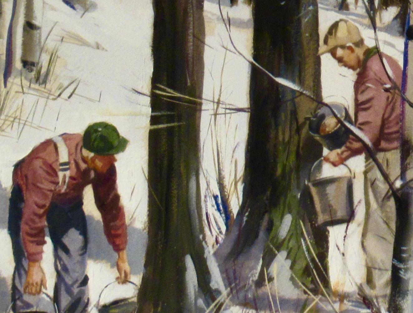Harvesting Sap For Sale 1