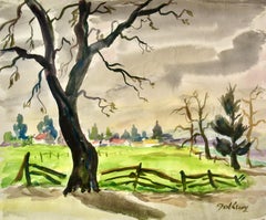 California Landscape