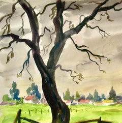 California Landscape