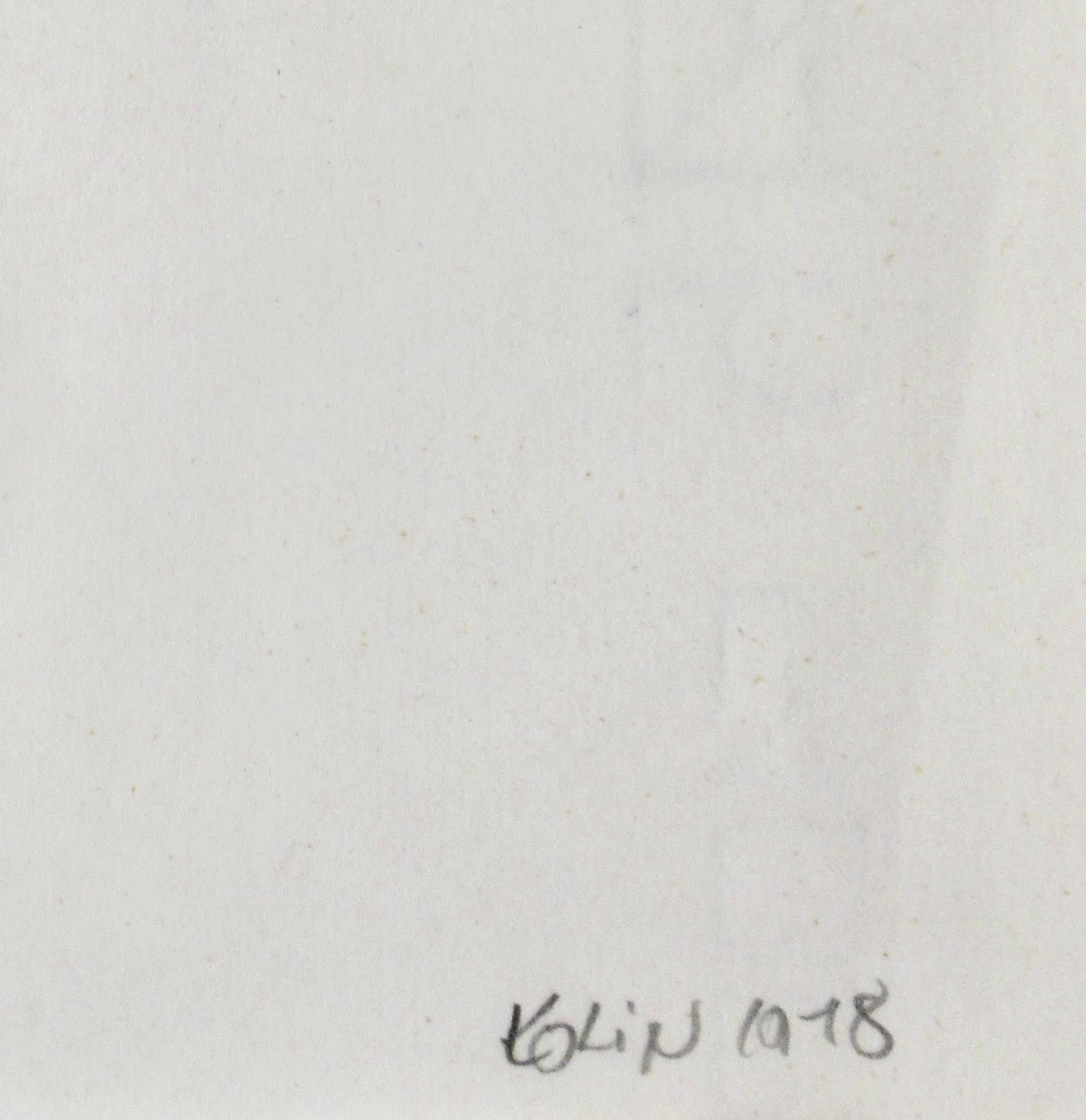 A Third Thought - Gray Abstract Drawing by Sacha Kolin