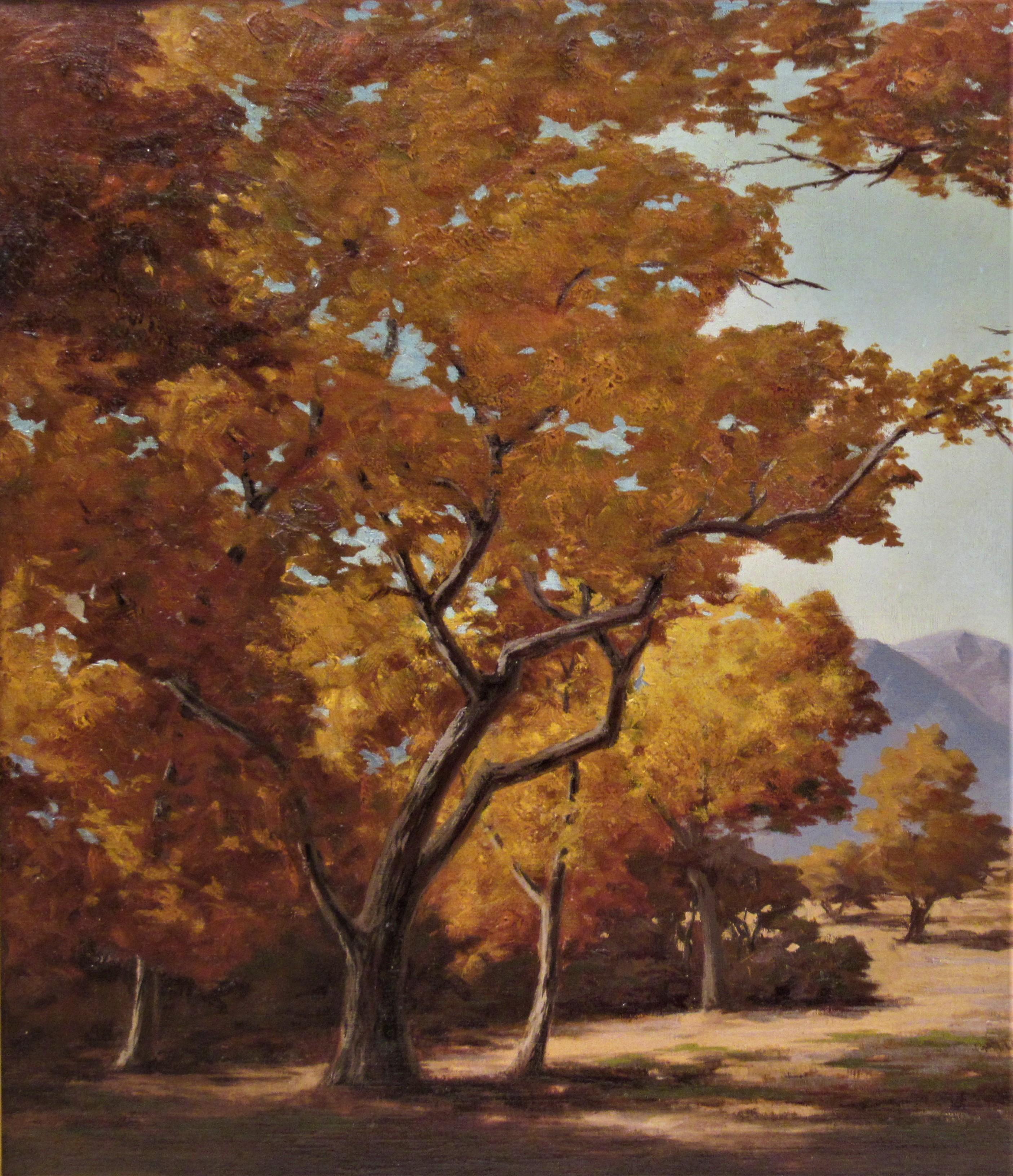 California Landscape Trees - American Impressionist Painting by Earl Graham Douglas