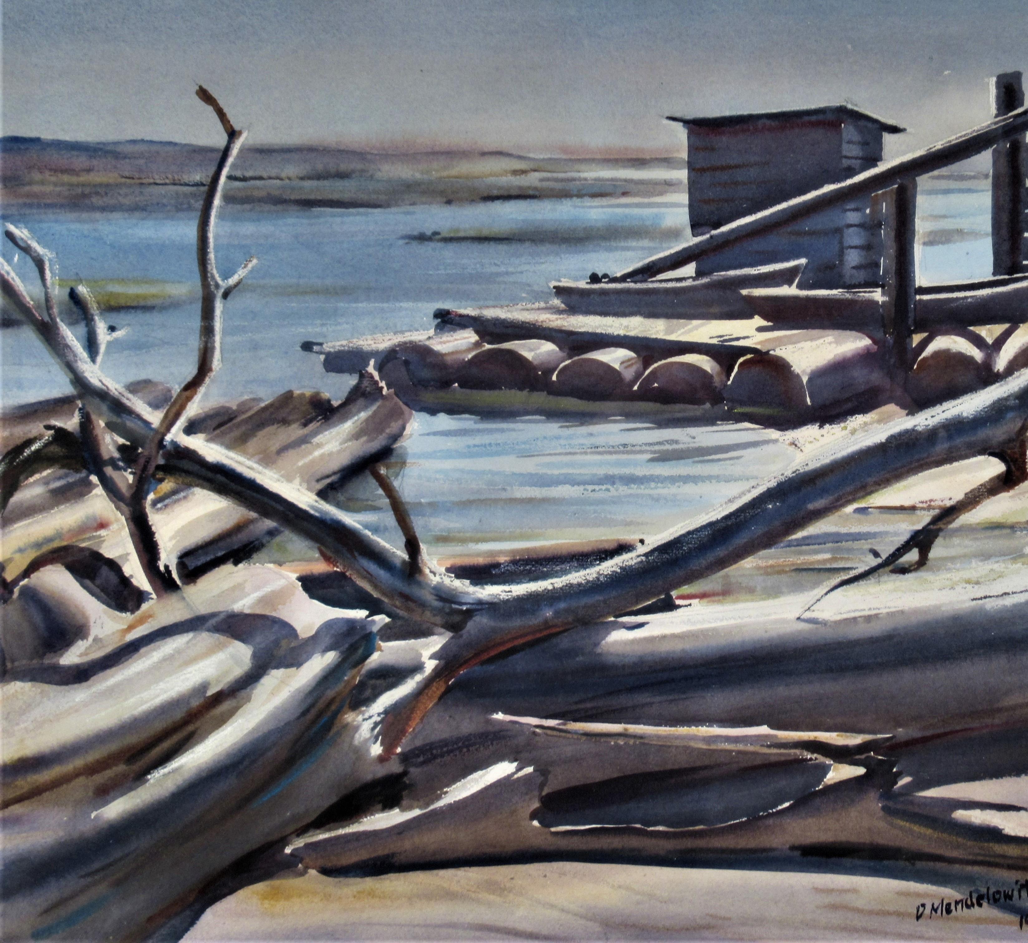 daniel mendelowitz artist