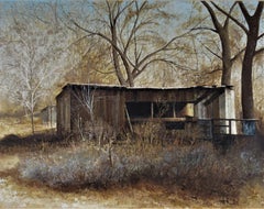 Cottonwood Spring