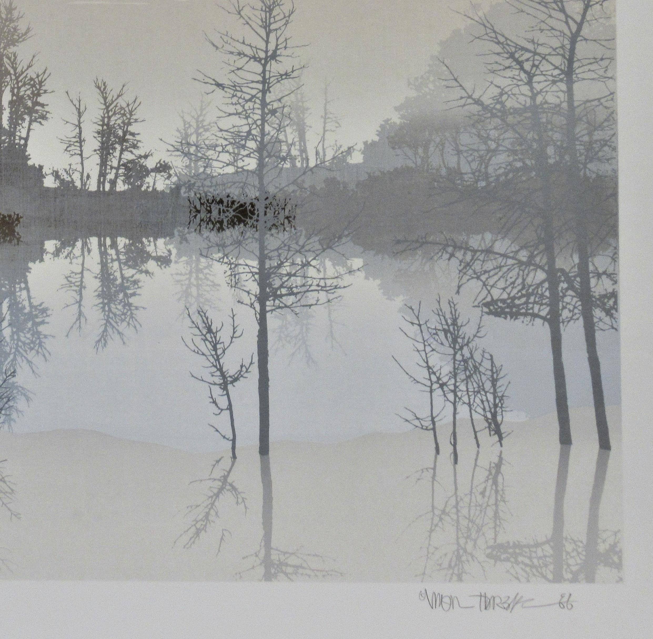 Madera Silver - Landscape Print Plata de Virgil Trasher