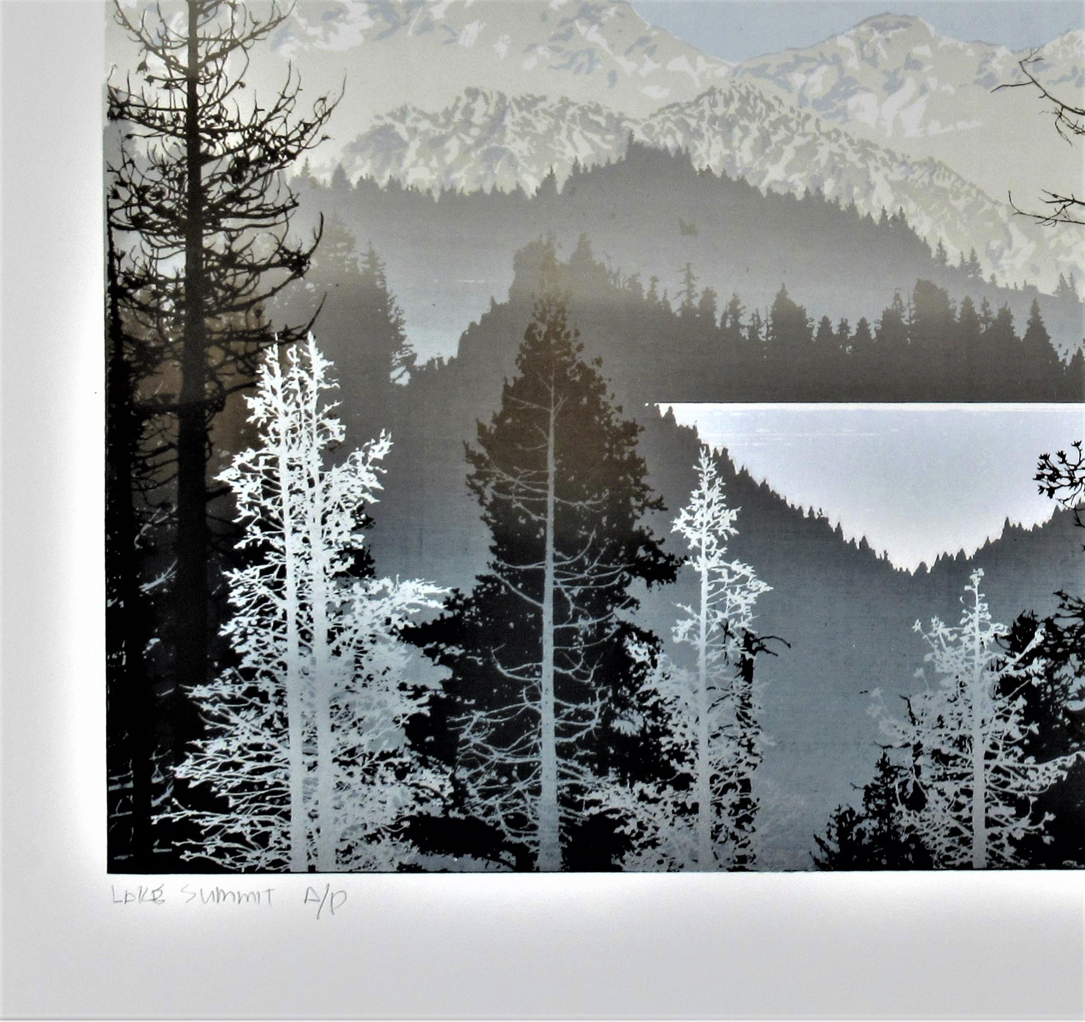 Lake Summit - American Modern Print by Virgil Trasher