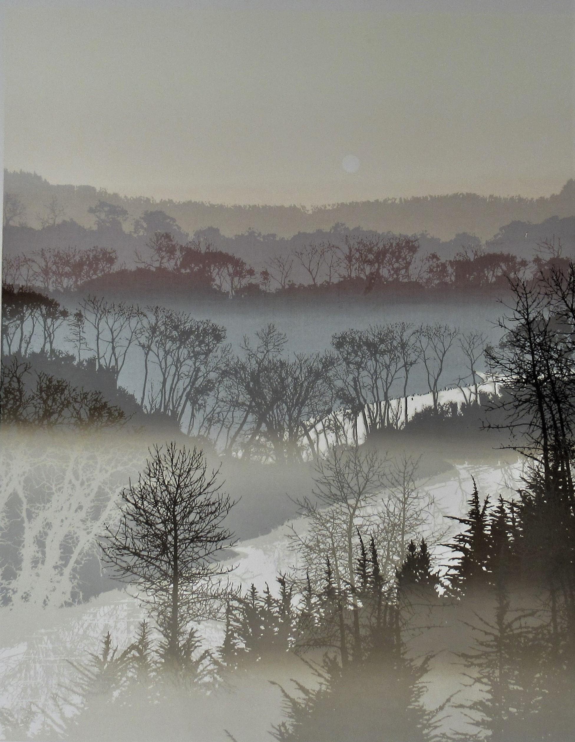 Virgil Trasher Landscape Print - River Mist