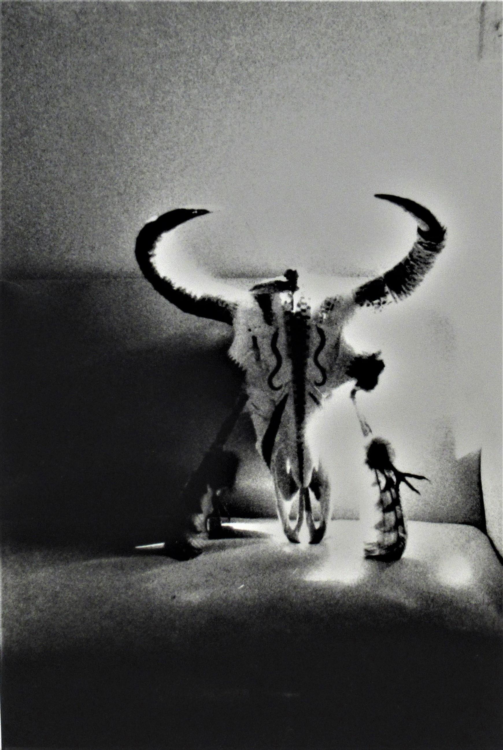Michael Andreas Russ Black and White Photograph - Bull's Skull