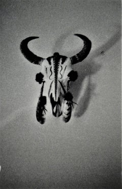 Bull's Skull II