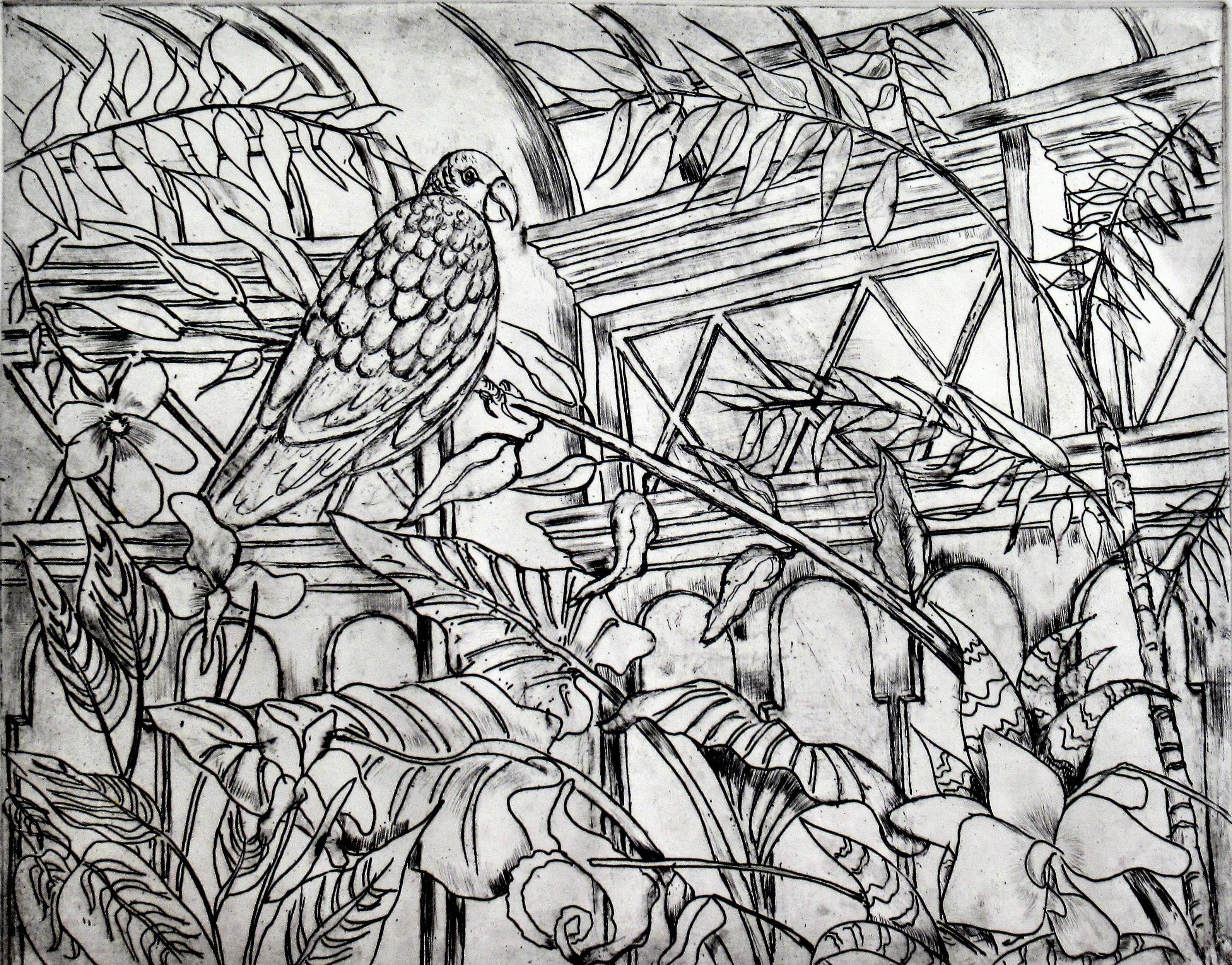 Vogel-Vogel – Print von Arnold A. Grossman