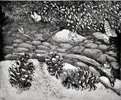 Pine Cones