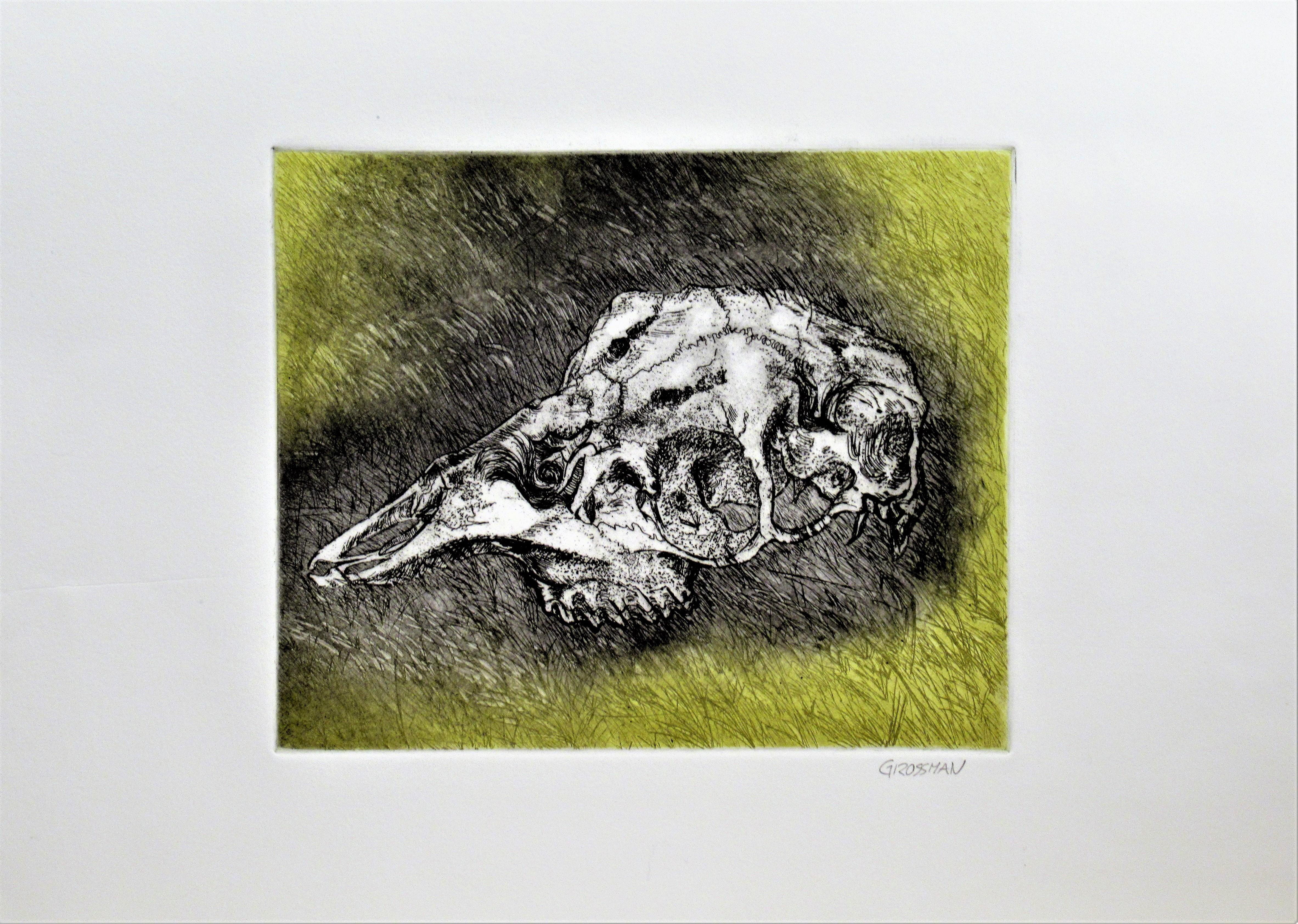 Arnold A. Grossman Animal Print - Skull