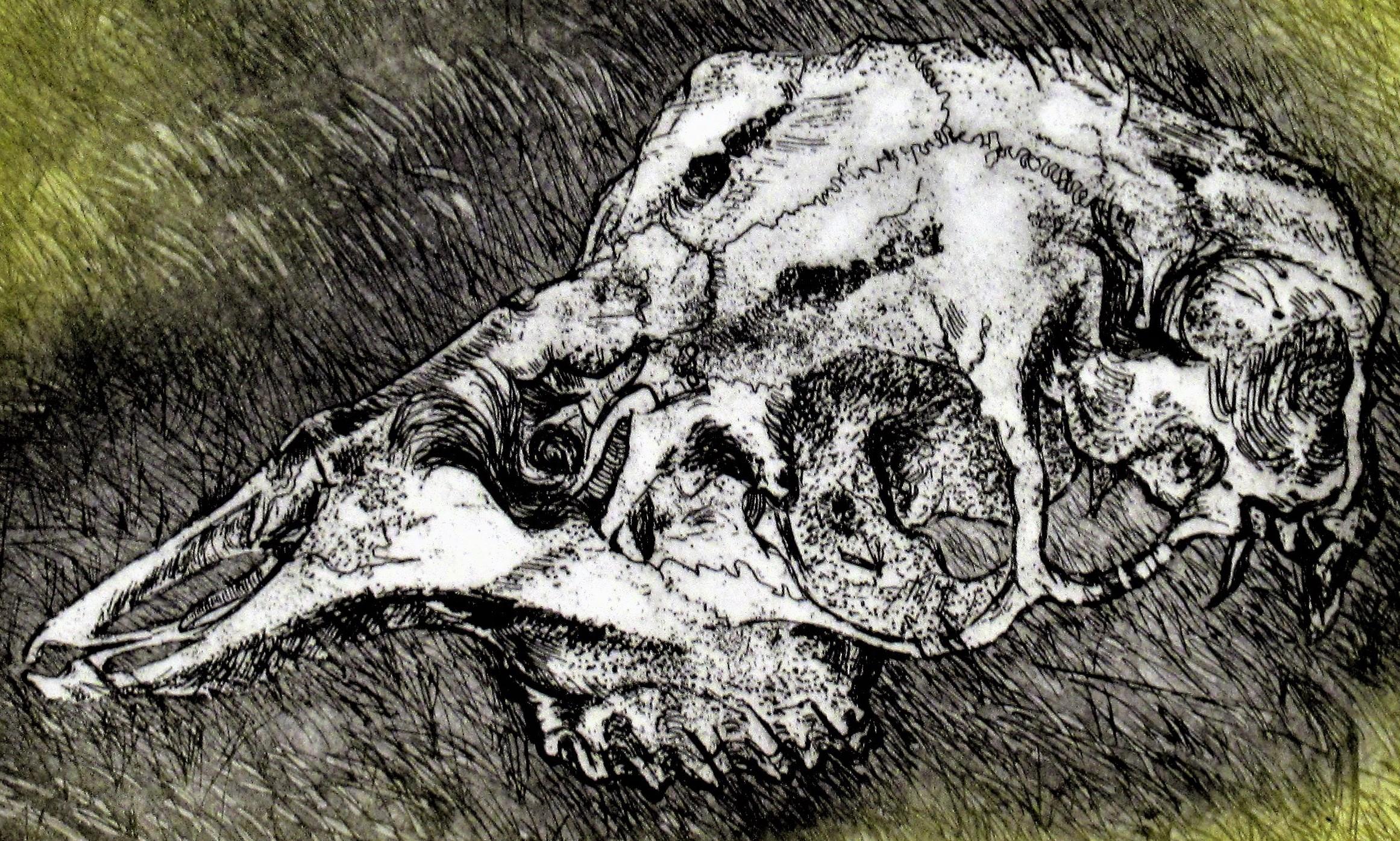 Skull - American Impressionist Print by Arnold A. Grossman