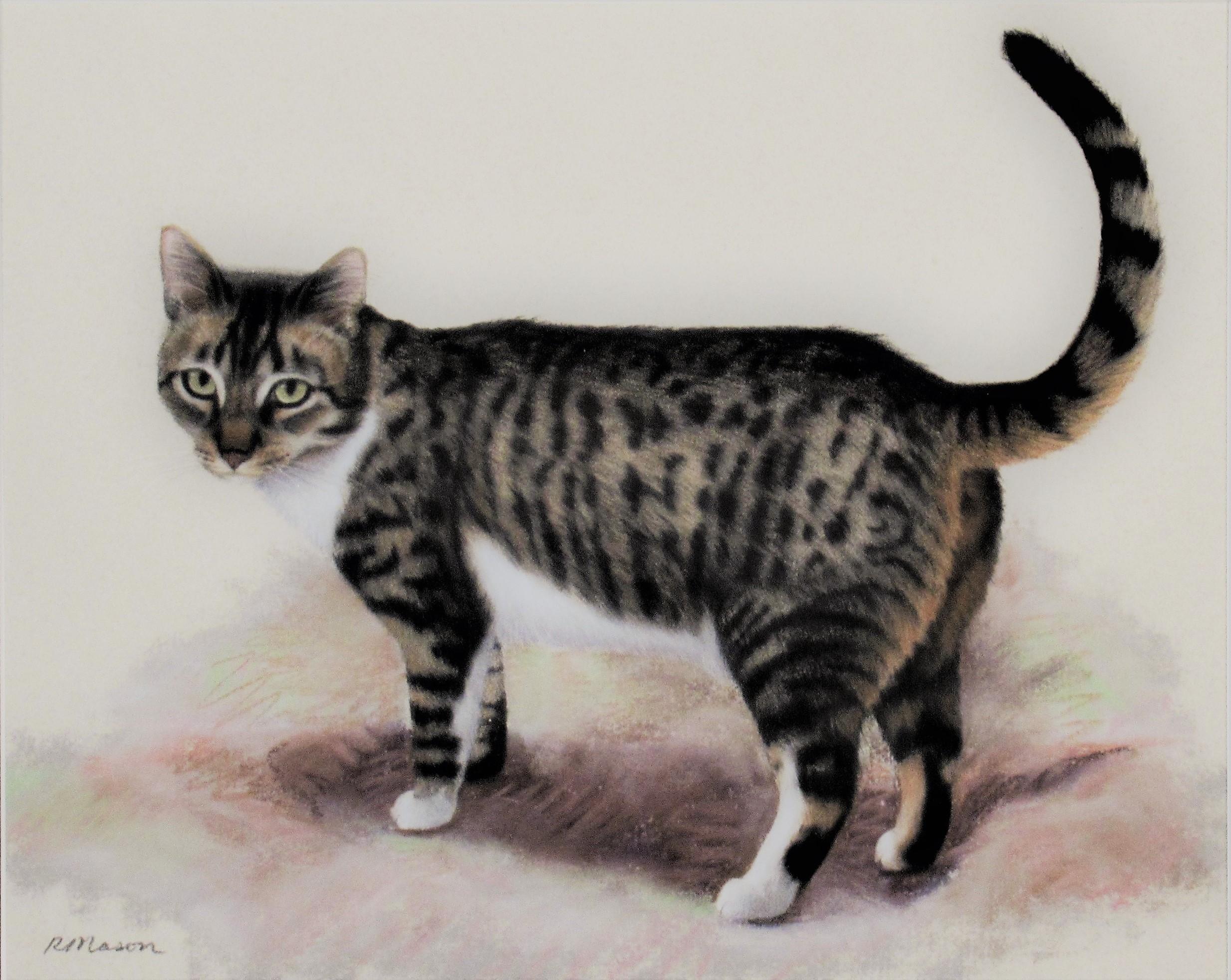 Cat I - Art by Rochelle Mason