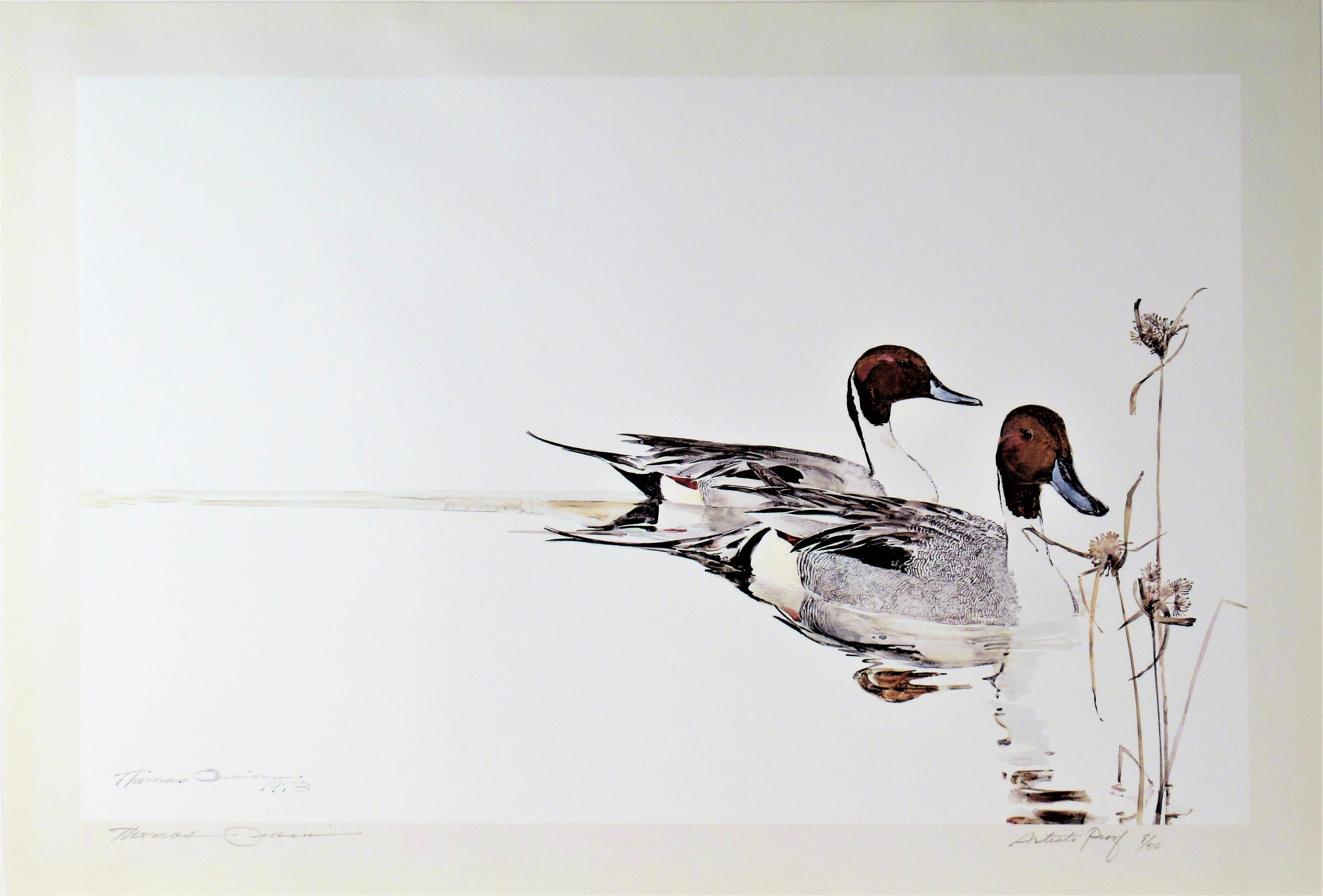 Thomas Quinn Animal Print - Drake Pintails with Nut Grass