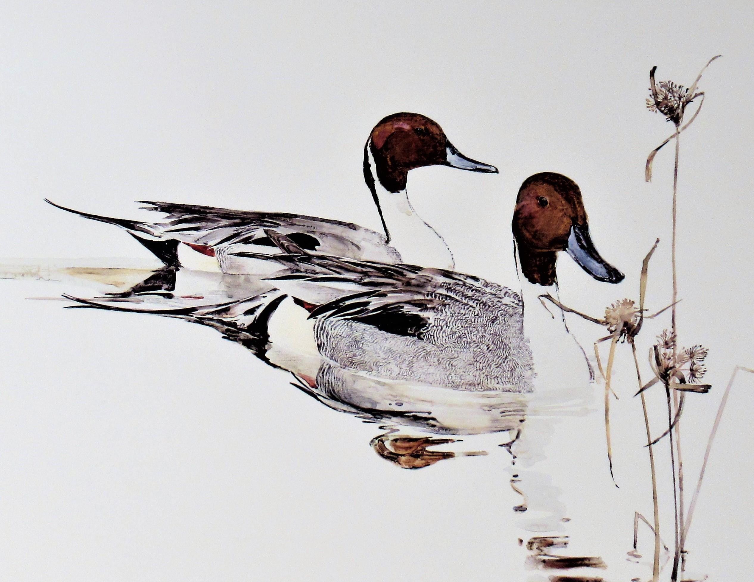 thomas quinn artist