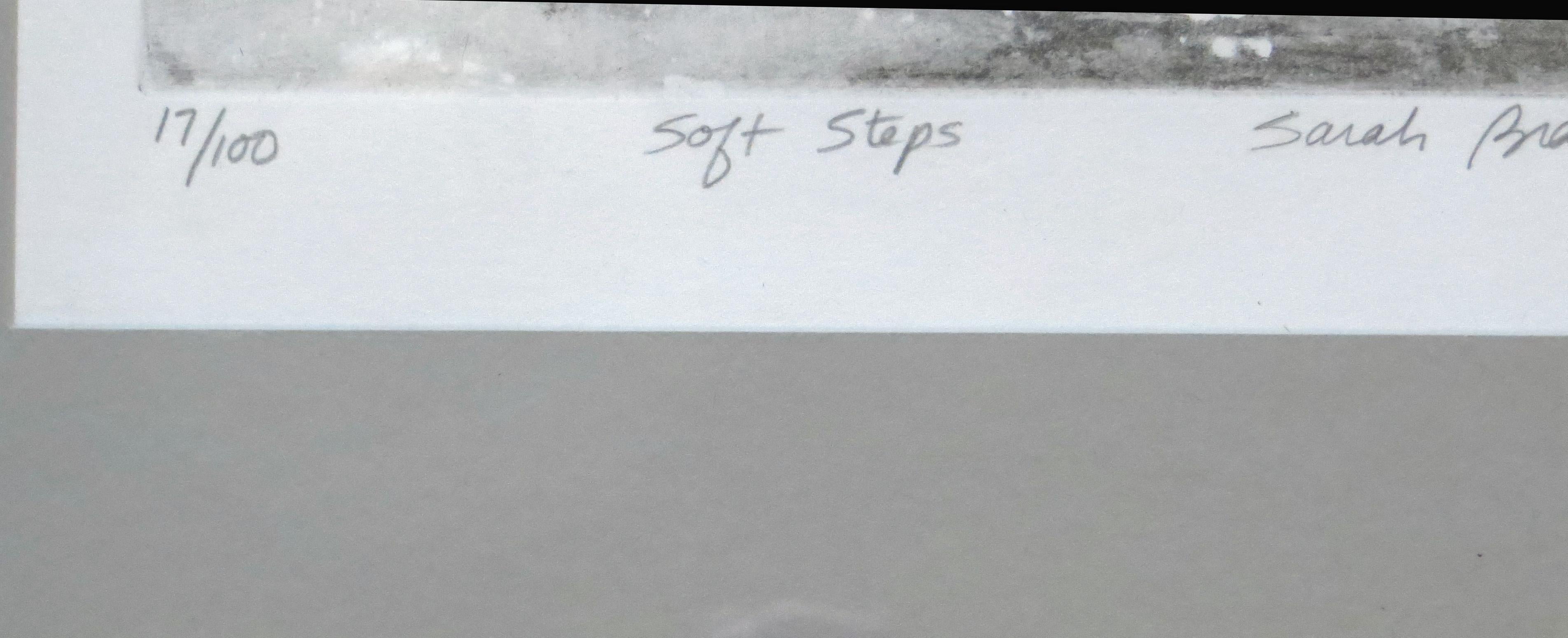 Sarah Brayer Soft Steps For Sale at 1stDibs sarah brayer prints for