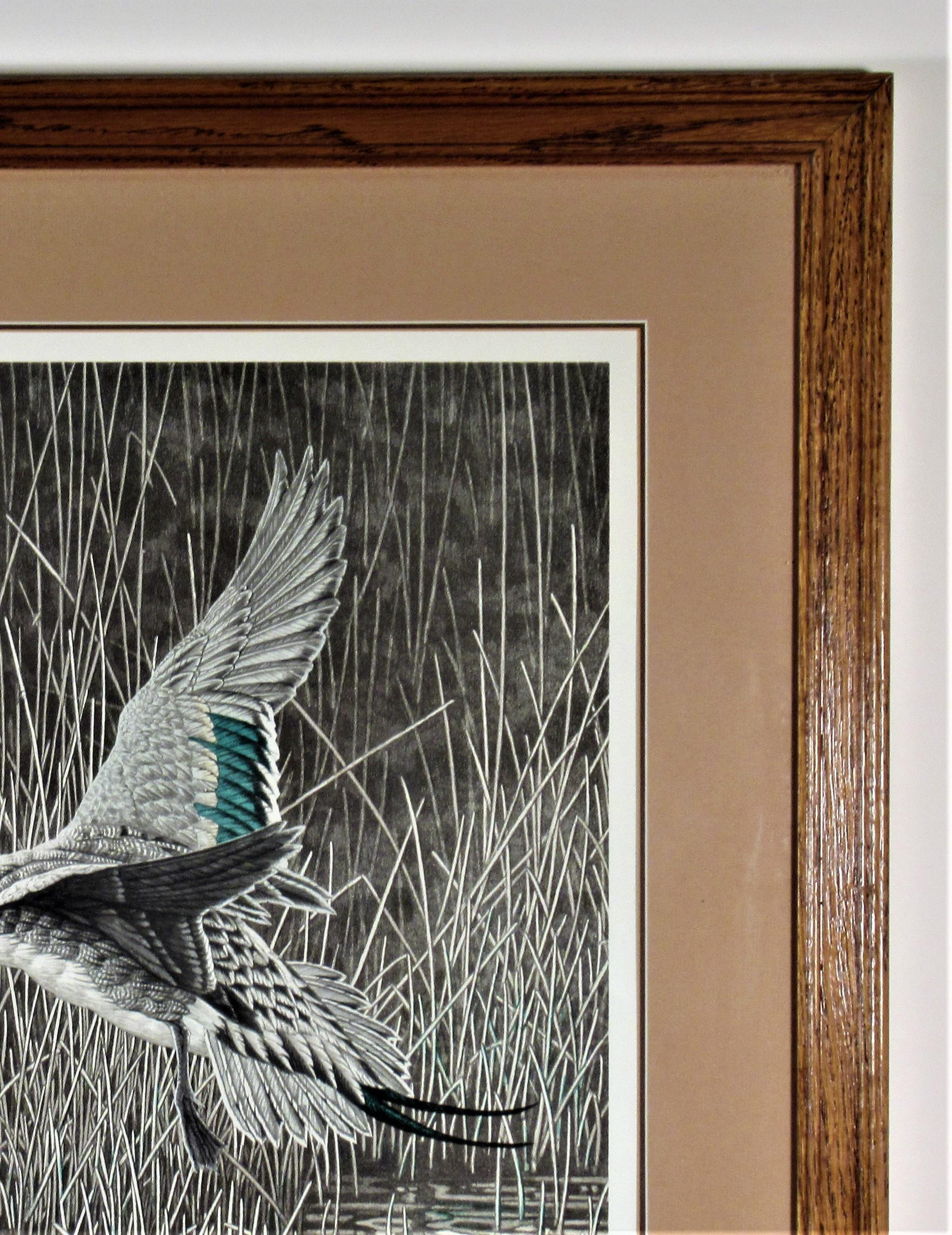Pintail - American Realist Print by Christopher Forrest