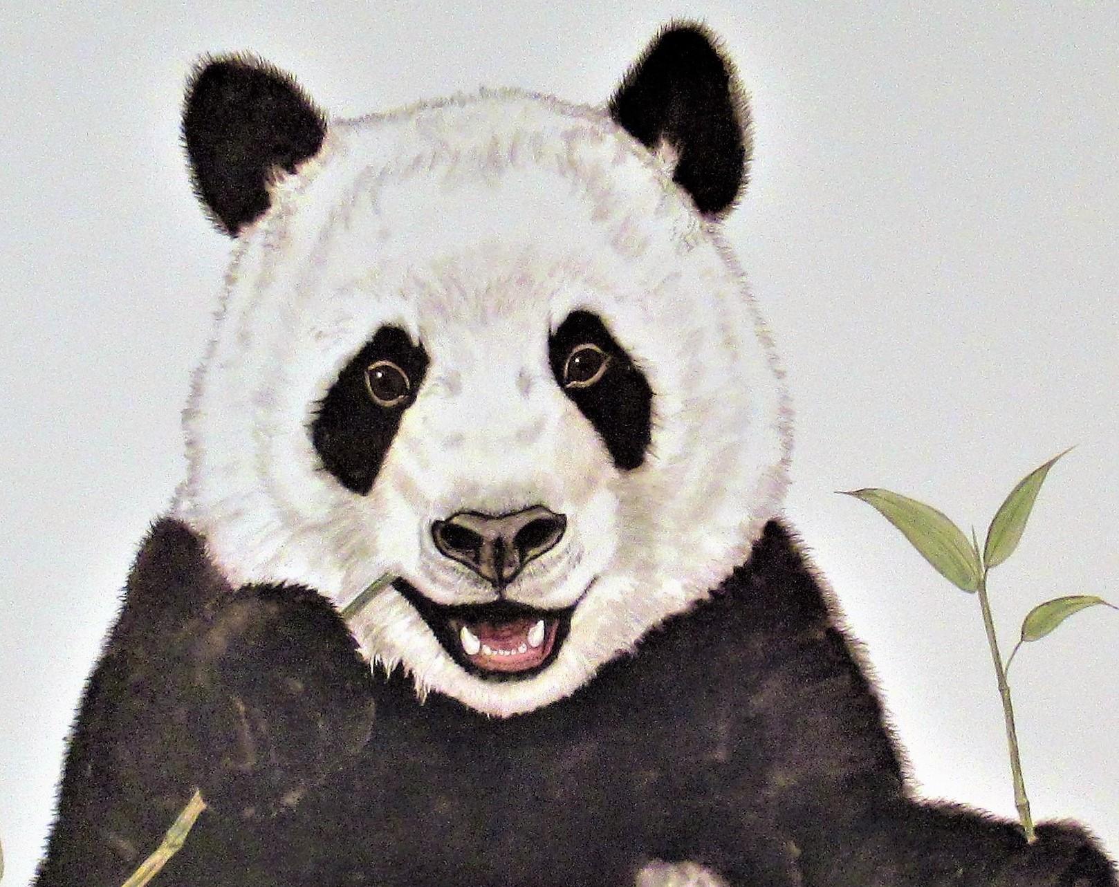 panda marie