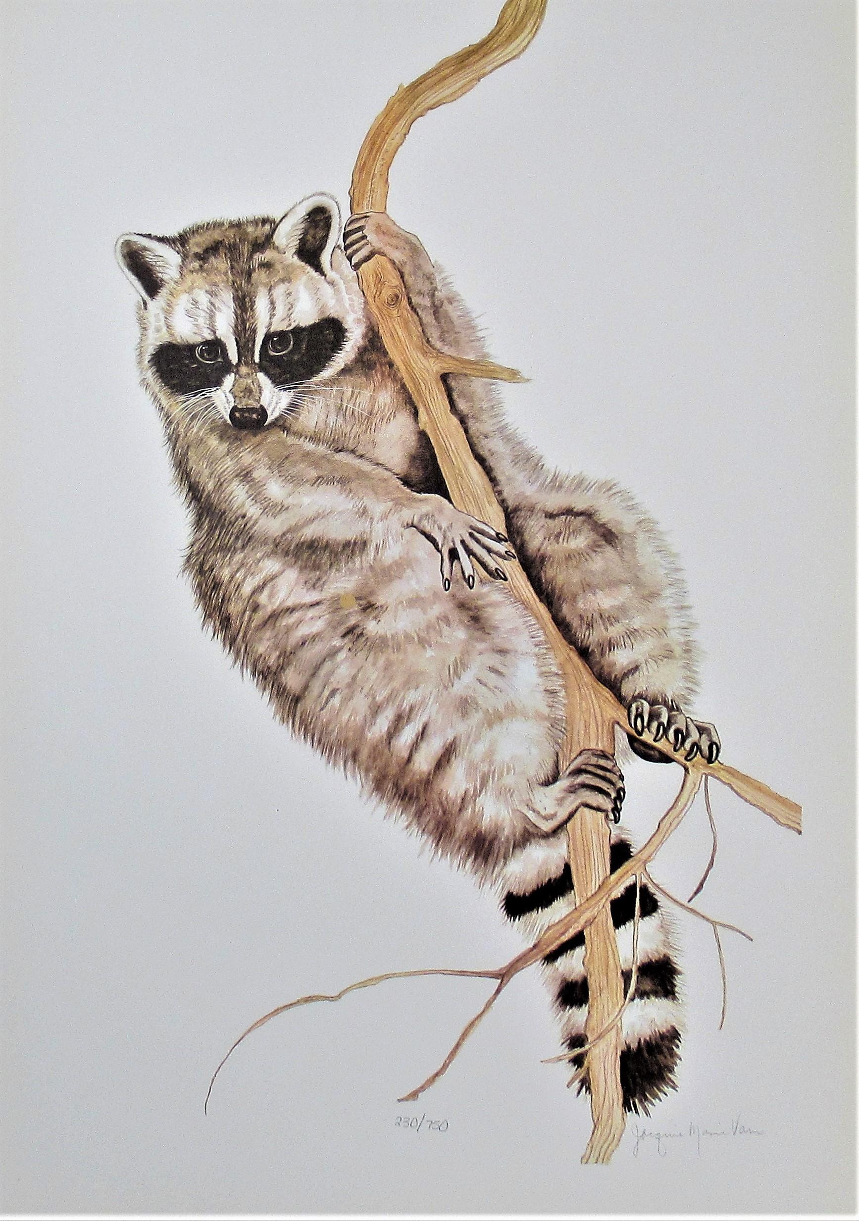 Jacquie Marie Vaux Figurative Print - Racoon