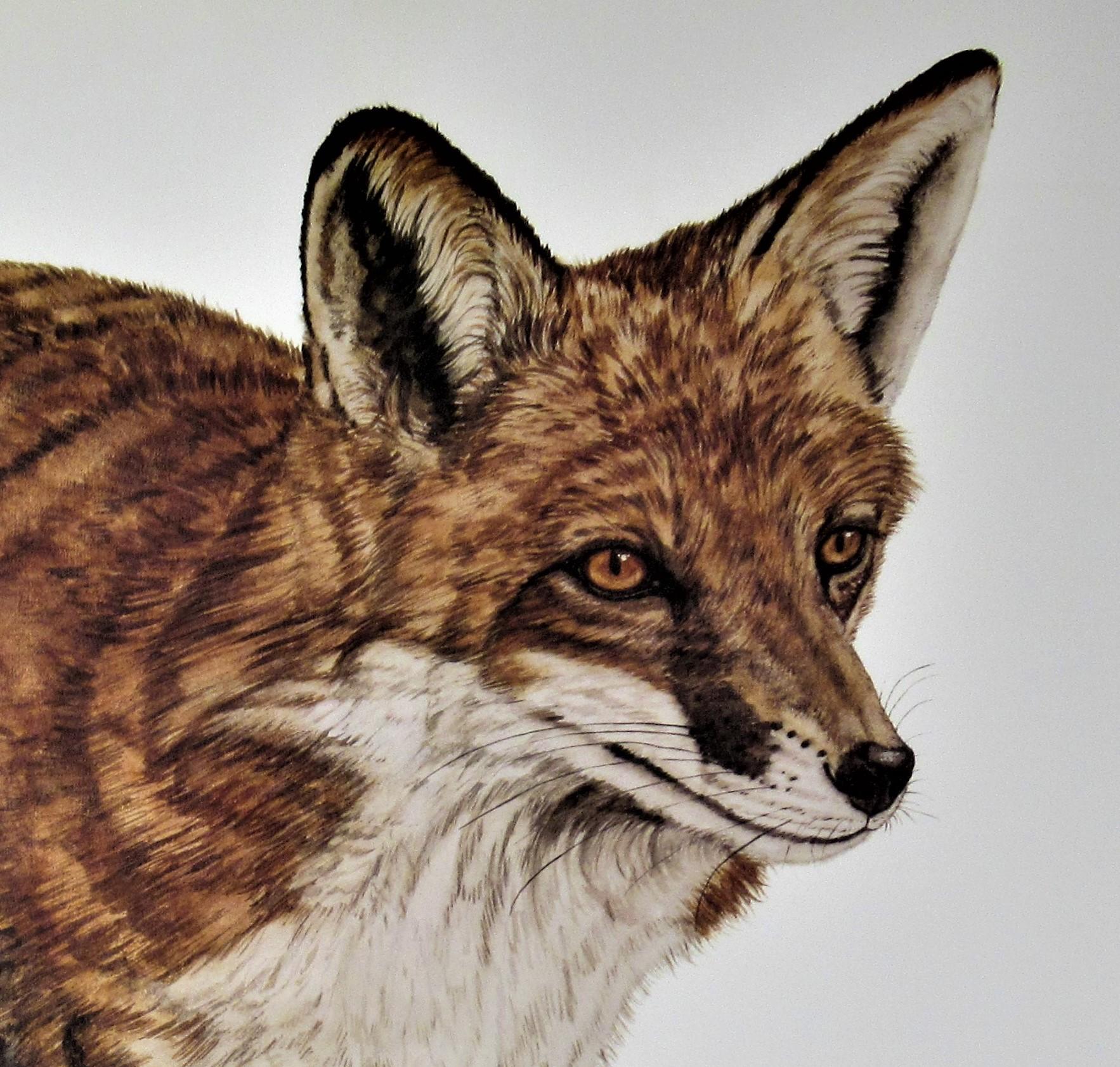Fox - Print by Jacquie Marie Vaux