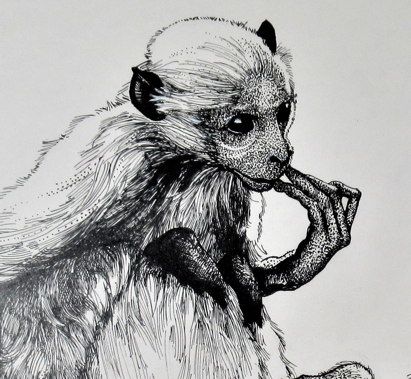 two monkeys drawing