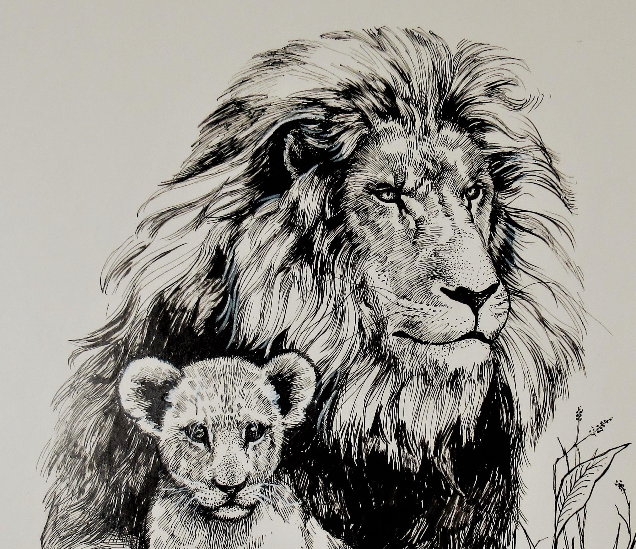 lion and cub drawing
