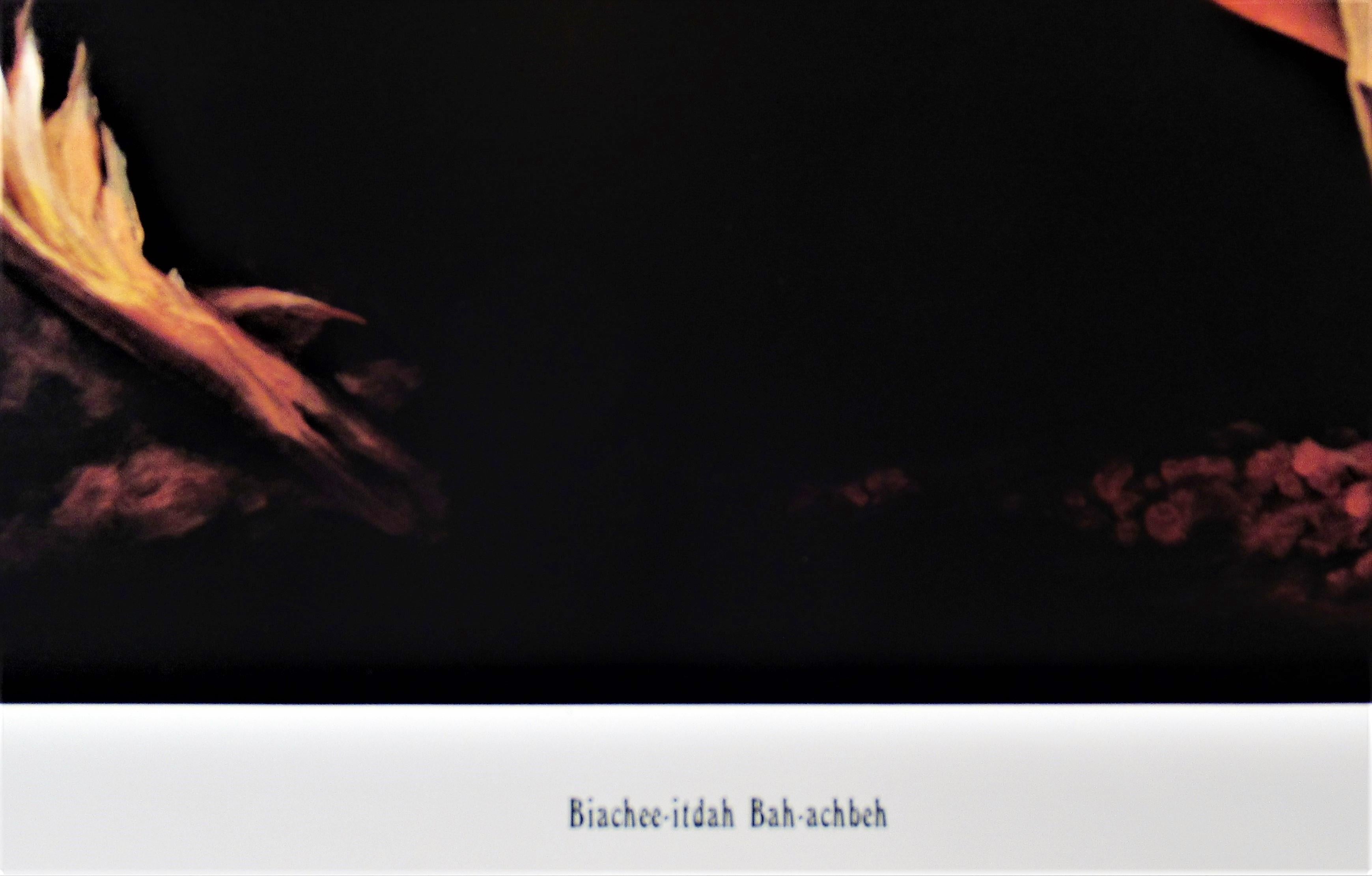 Biachee-Itdah Bah Achbeb - Black Figurative Print by Penni Anne Cross