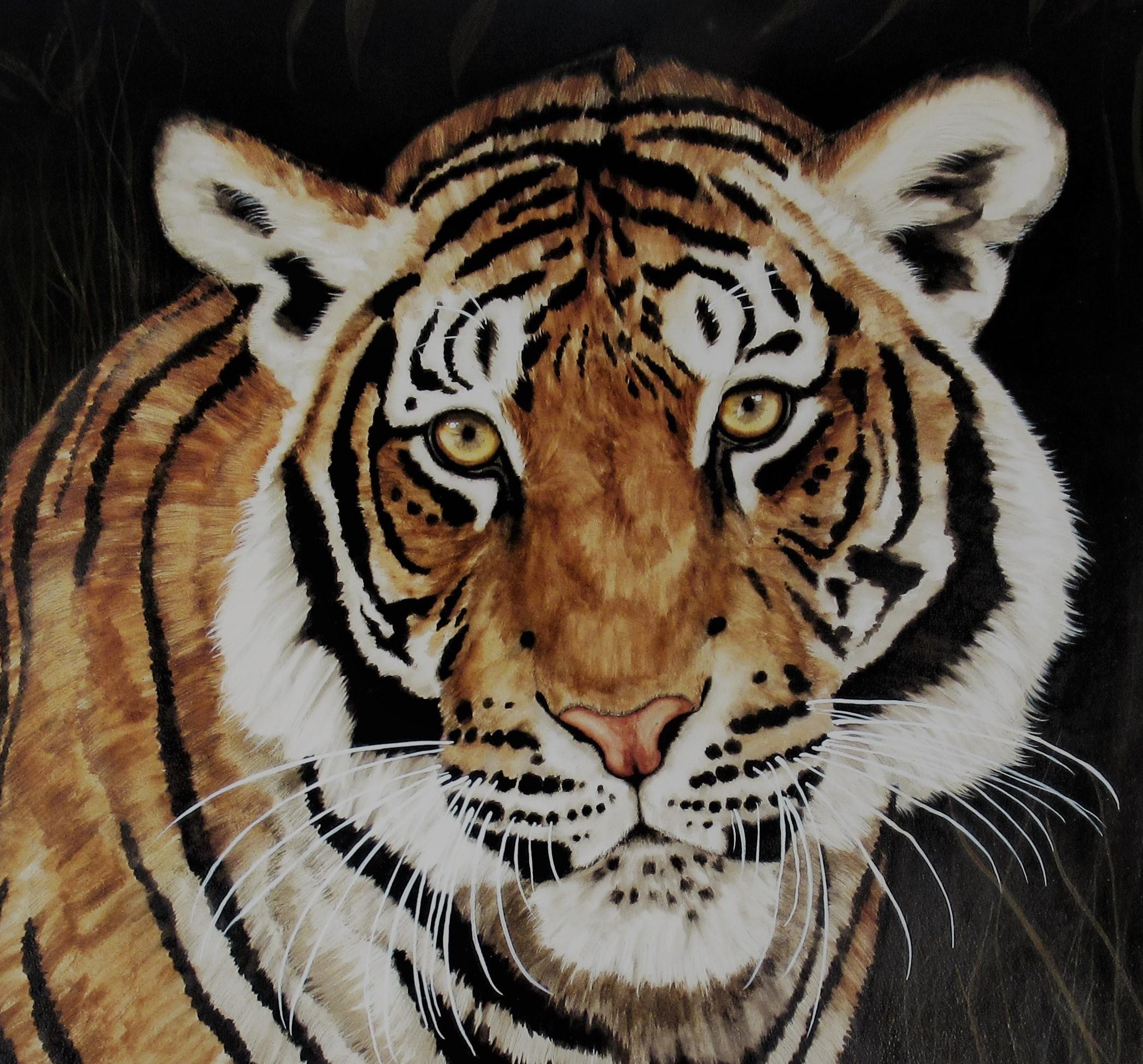 velvet tiger painting