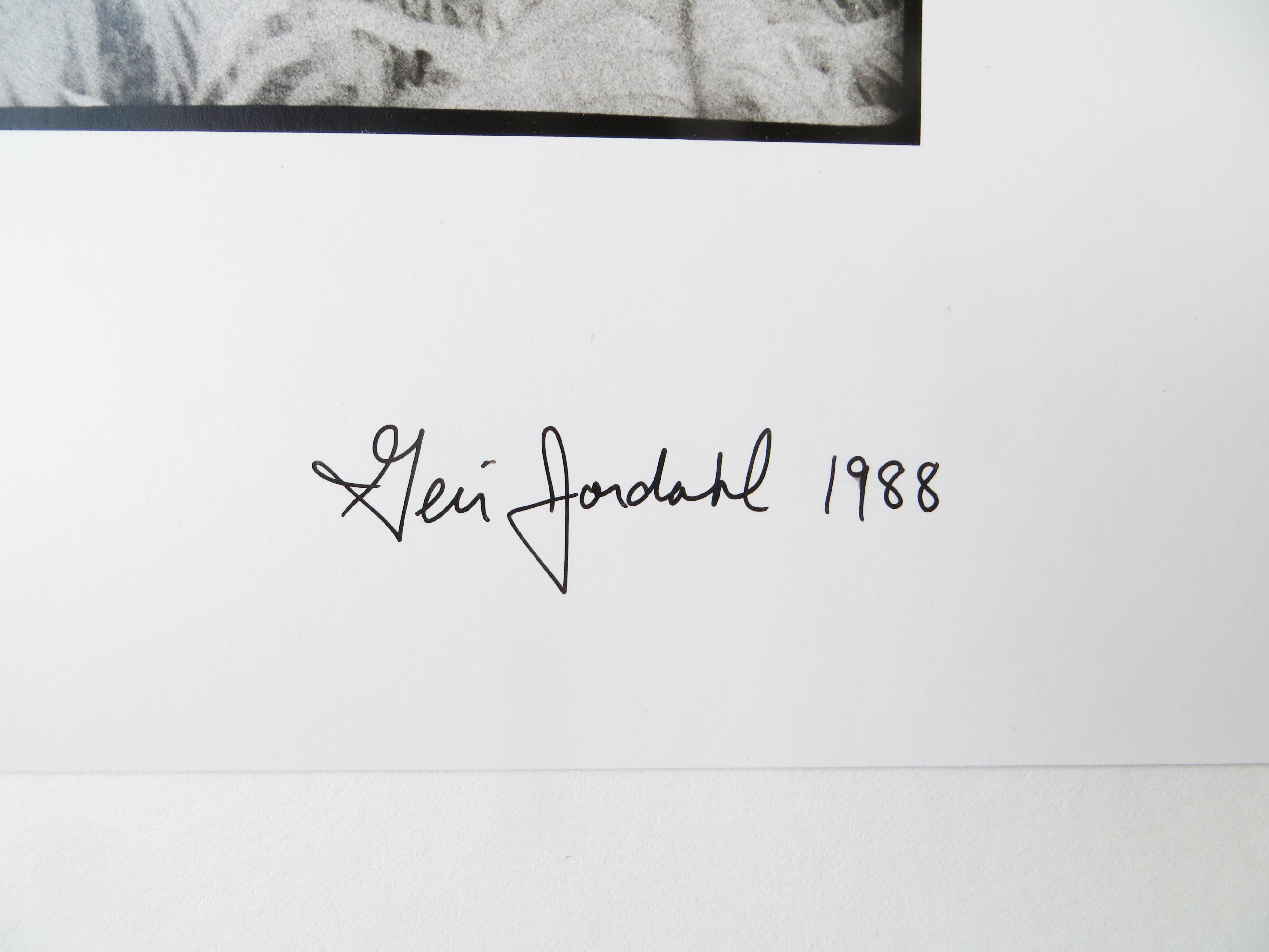 Künstler: Geir Jordahl - Amerikaner (1957- )
Titel: Prähistorischer Regenwald, Oregon
Jahr: 1988
Medium: Silbergelatinefotografie mit Infrarotfilm
Größe des Bildes: 8 x 19,75 Zoll. 
Gerahmte Größe: 16,25 x 26,25 Zoll 
Unterschrift: Unterzeichnet auf