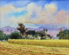 Hanging on in Tracy, California