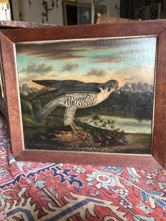 A Peregrine Falcon Stood on a Partridge in the Highlands of Scotland 