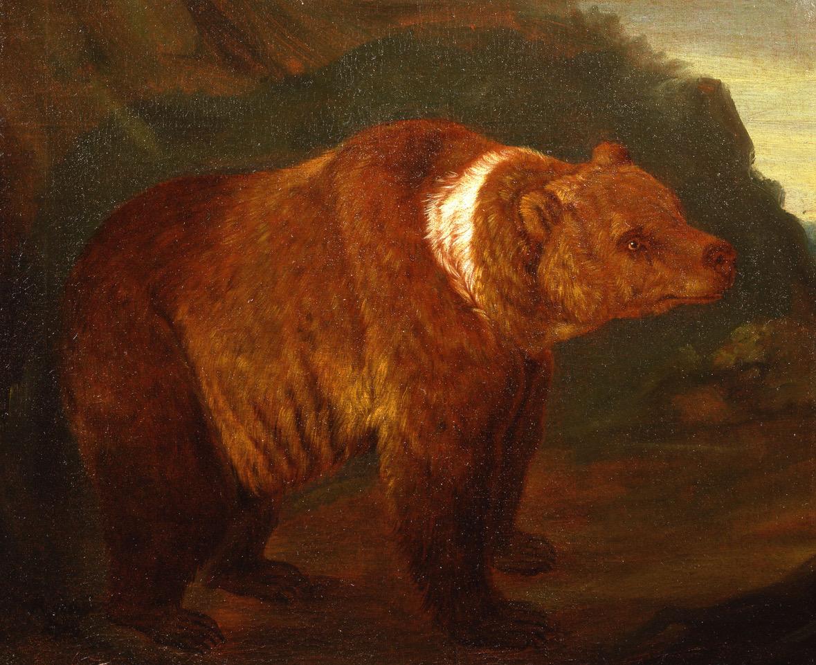 bear oil painting
