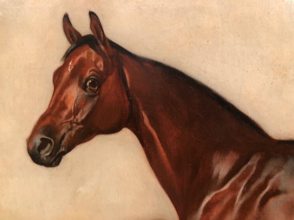 Luminous Oil Painting of a Horse by John Fernneley Snr. 'Bay Hunter' - Brown Animal Painting by John E. Ferneley, Snr.