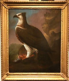 Magnificent C18th Painting - African Martial Eagle Stood on a Red Leg Partridge