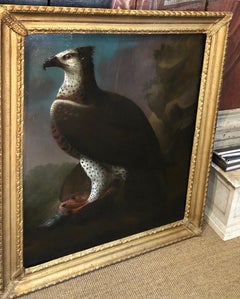 Magnificent C18th Painting - African Martial Eagle Stood on a Red Leg Partridge