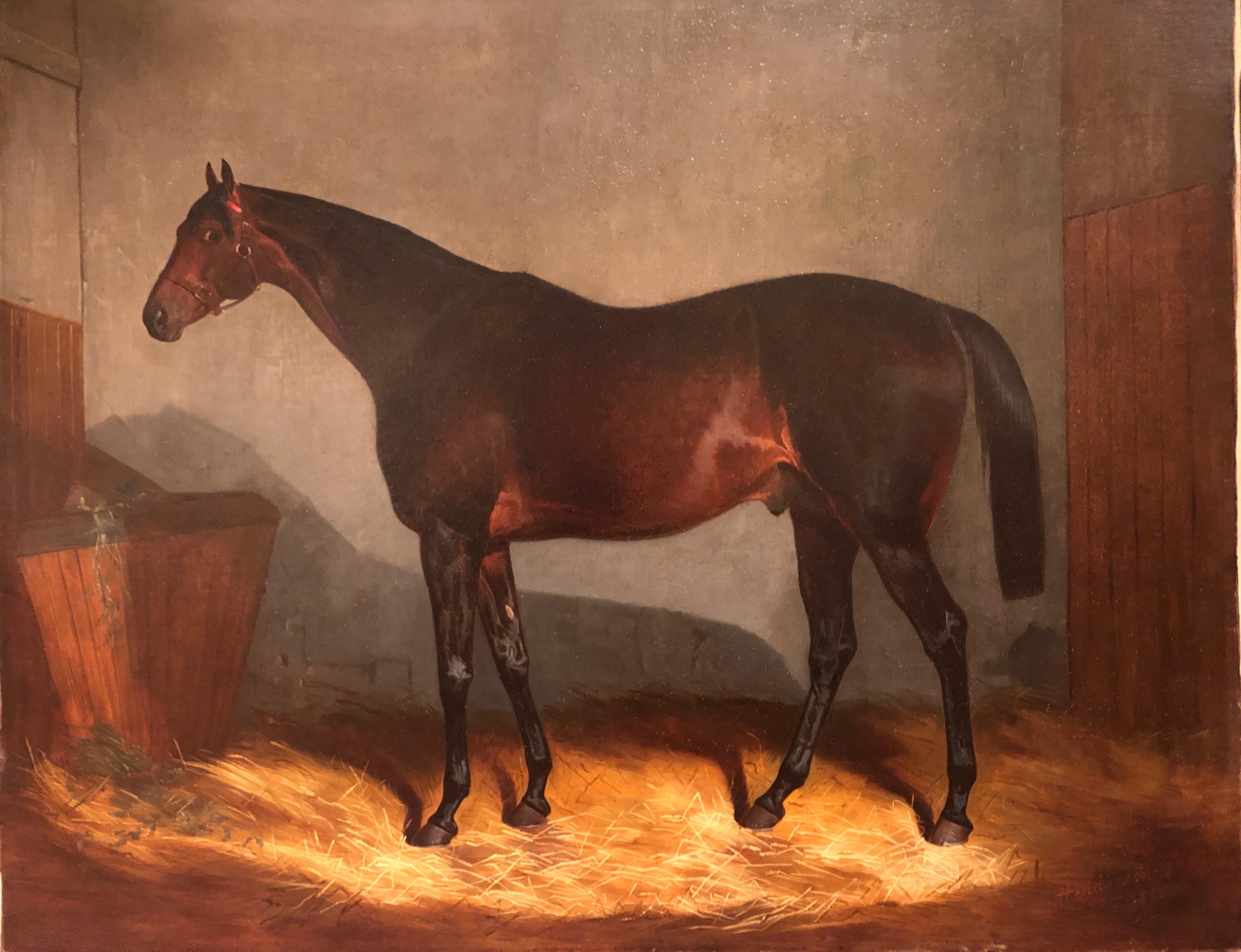 William Henderson Animal Painting - 19th Century Oil Painting of Bay Race Horse in a Stable